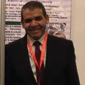 نبيل احمد لطفي السيد