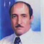 مجدي الجنيدي