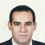 Mohamed Ashour