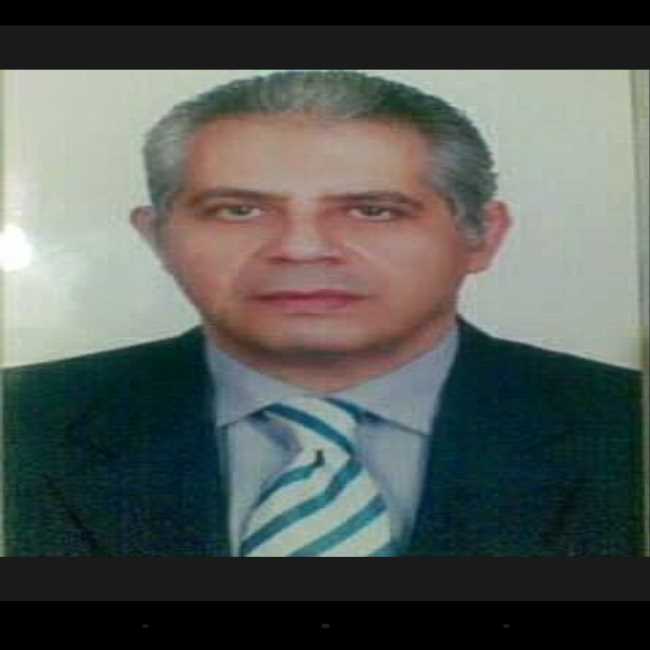 ضياء المنشاوي
