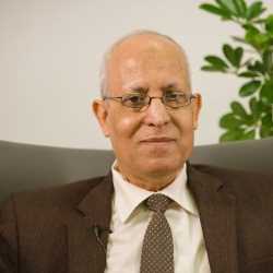 عادل حسني نصر