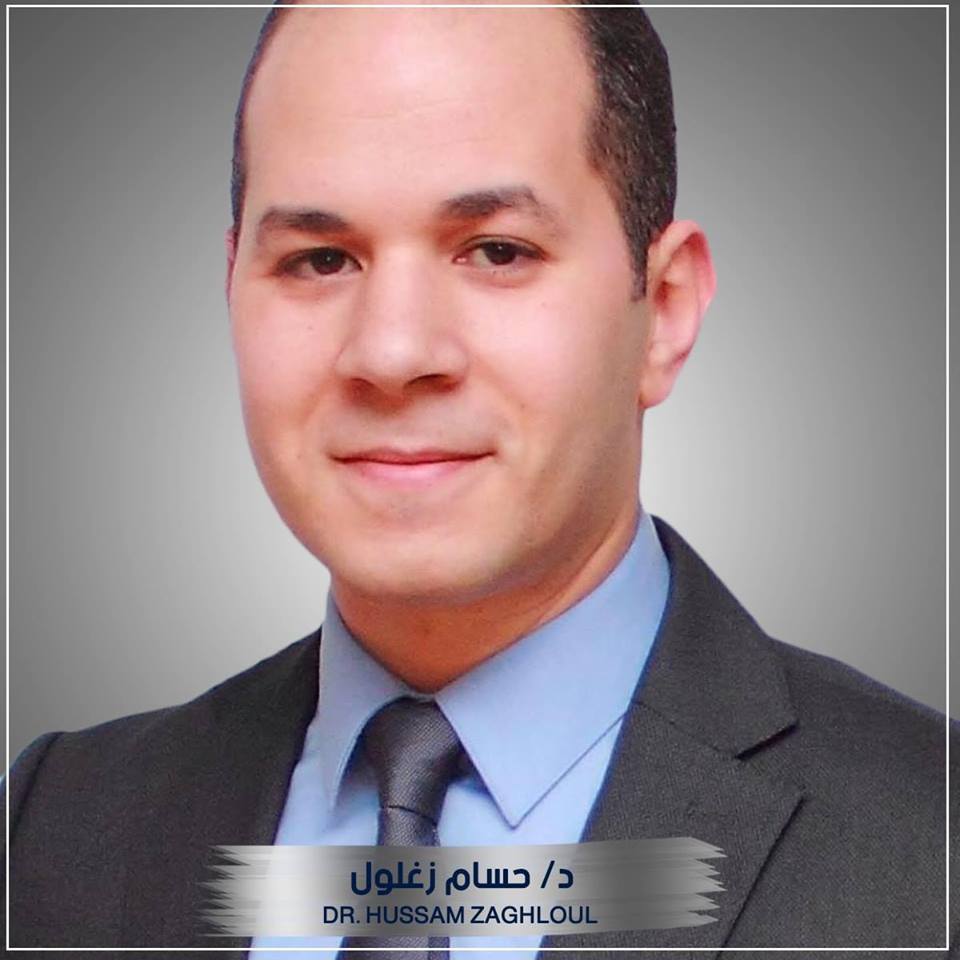 حسام زغلول