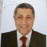 Medhat Eliwa