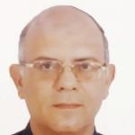 Magdy Shedid Sayed