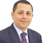 محمد ابراهيم الشافعي