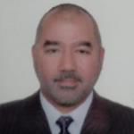 هاني حماد