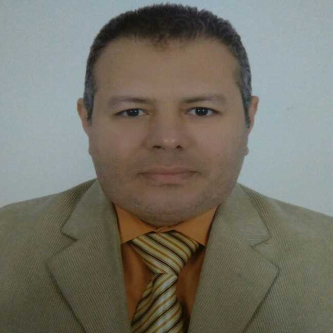 محمد ابو الحسن