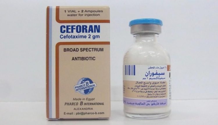 Ceforan 2000