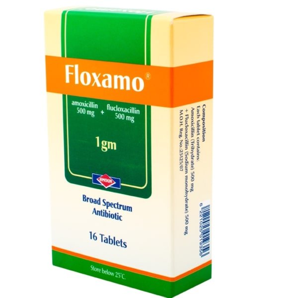 Floxamo 1000