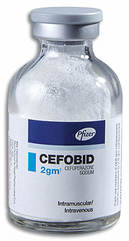 Cefobid 2000