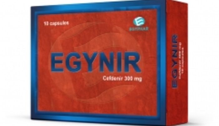 Egynir 300