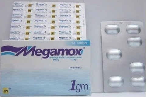 ميجاموكس 1000