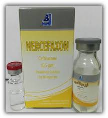 Nercefaxon 500